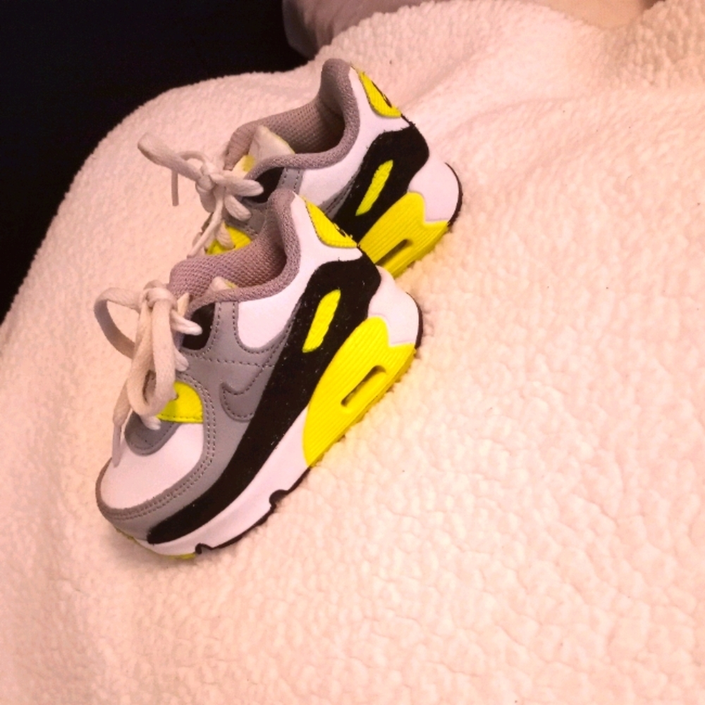 Nike air max (toddler)